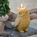 Bees Wax Owl Candle