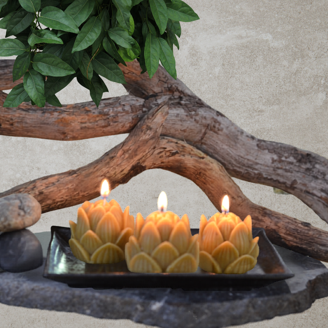 Beeswax Lotus Candle Set – Pack of 3