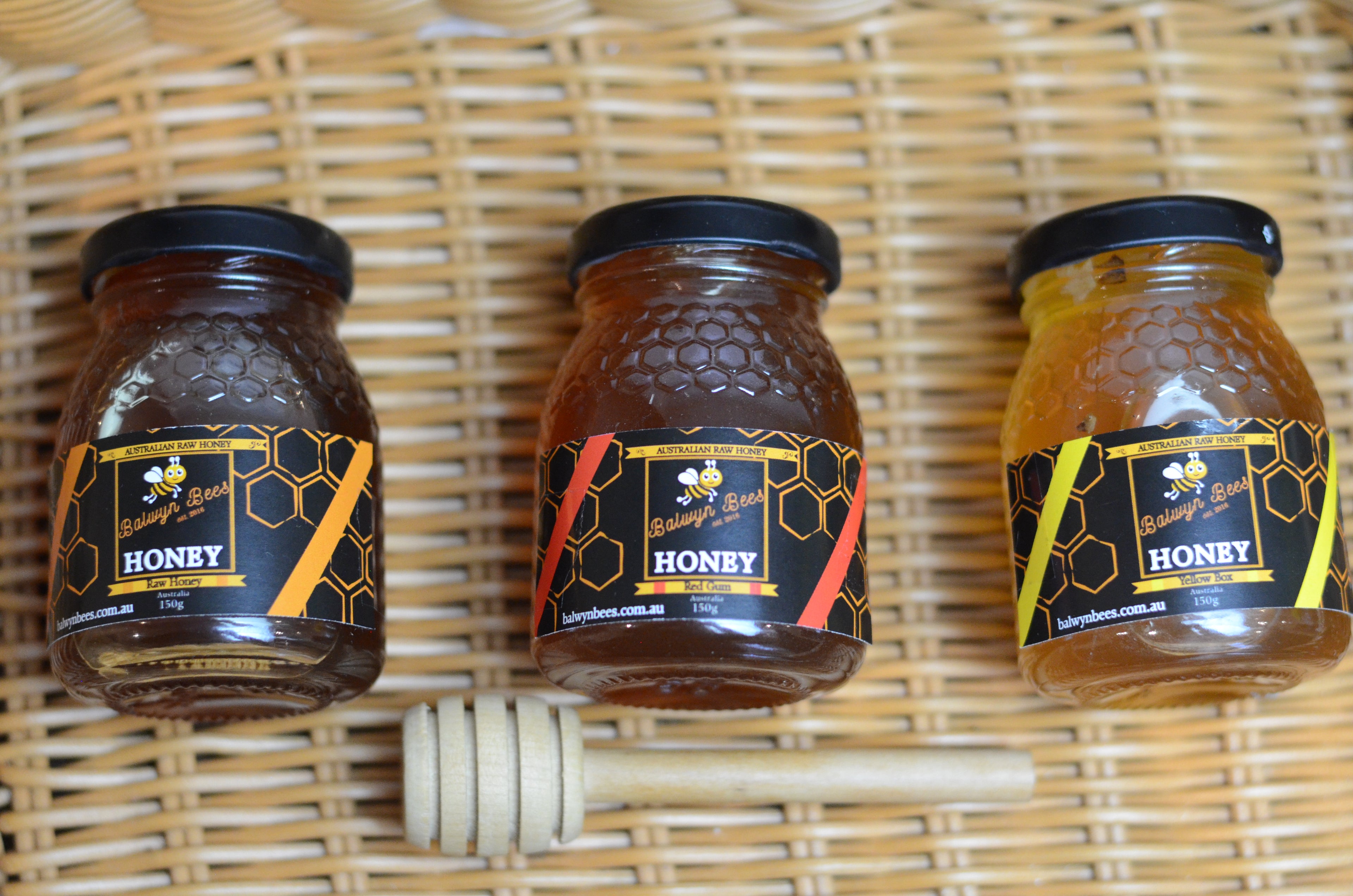 Sampler Honey Gift Pack (Pack of 3)