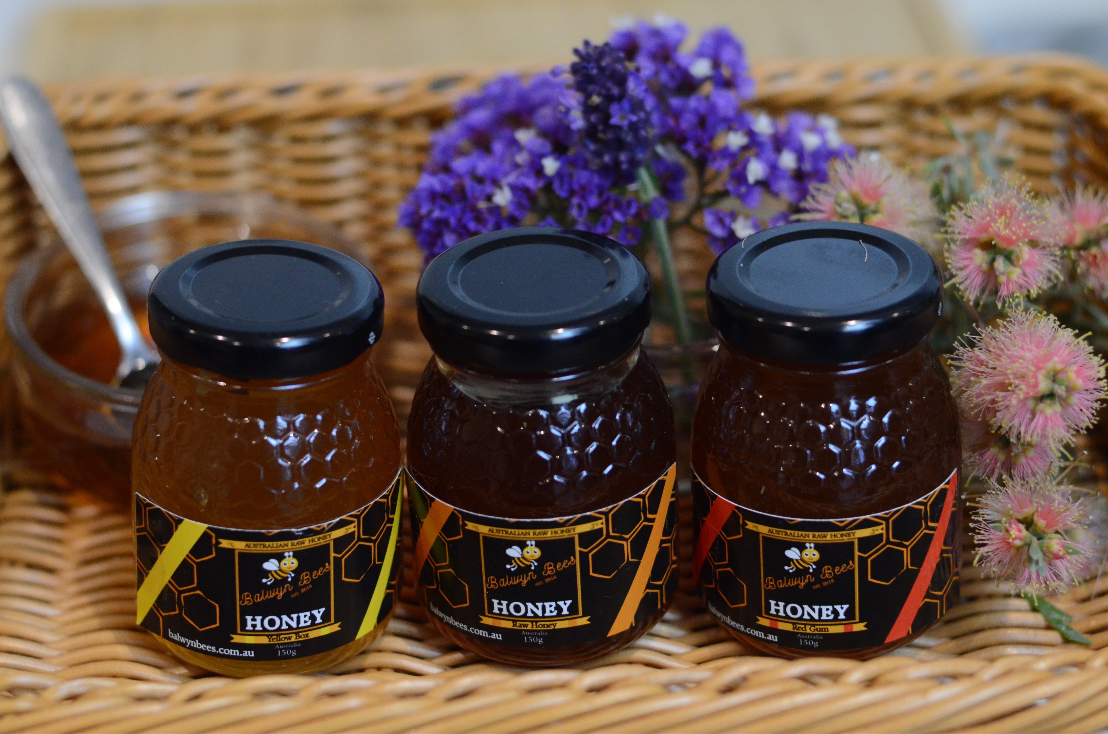 Sampler Honey Gift Pack (Pack of 3)