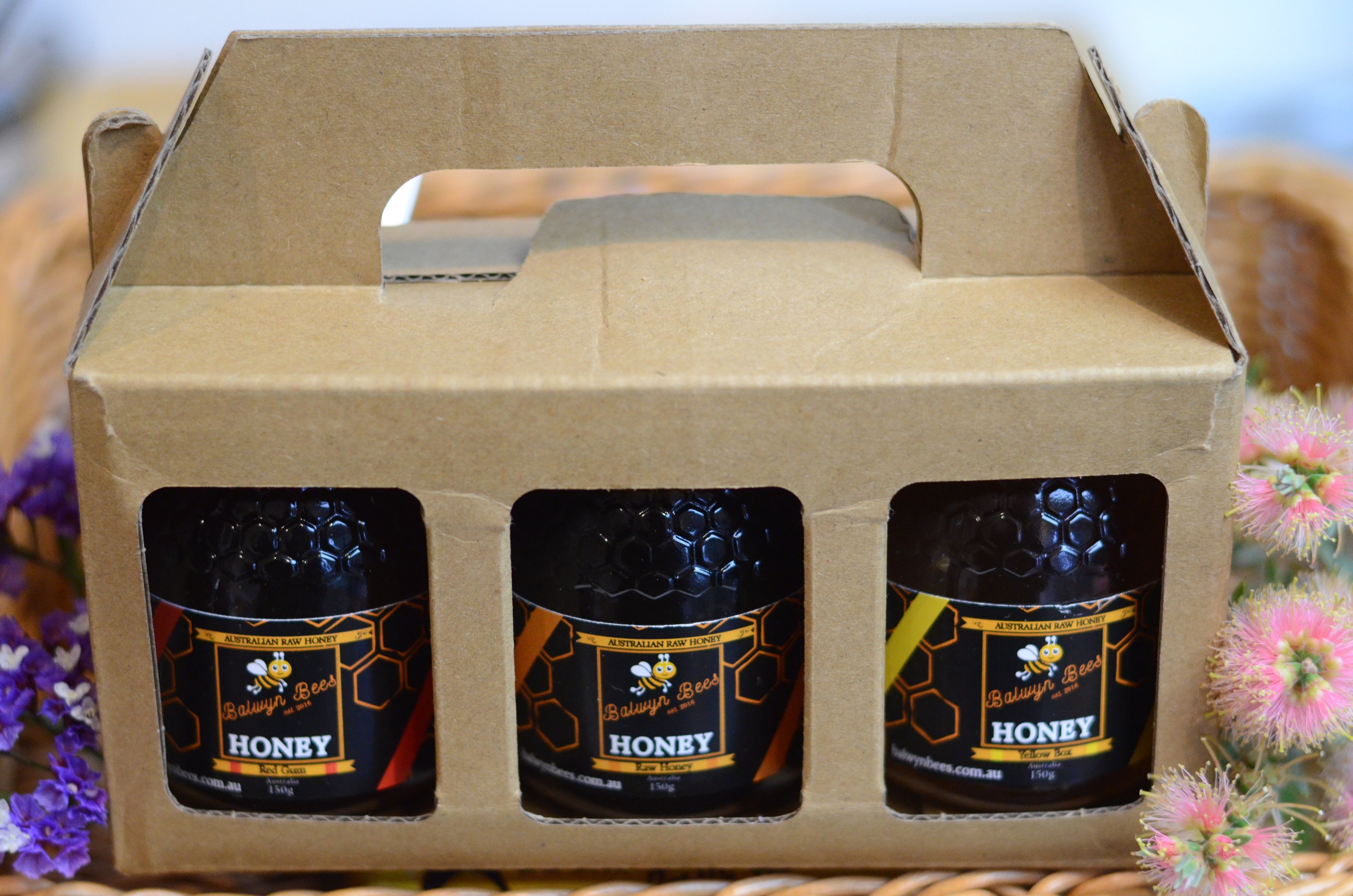 Sampler Honey Gift Pack (Pack of 3)