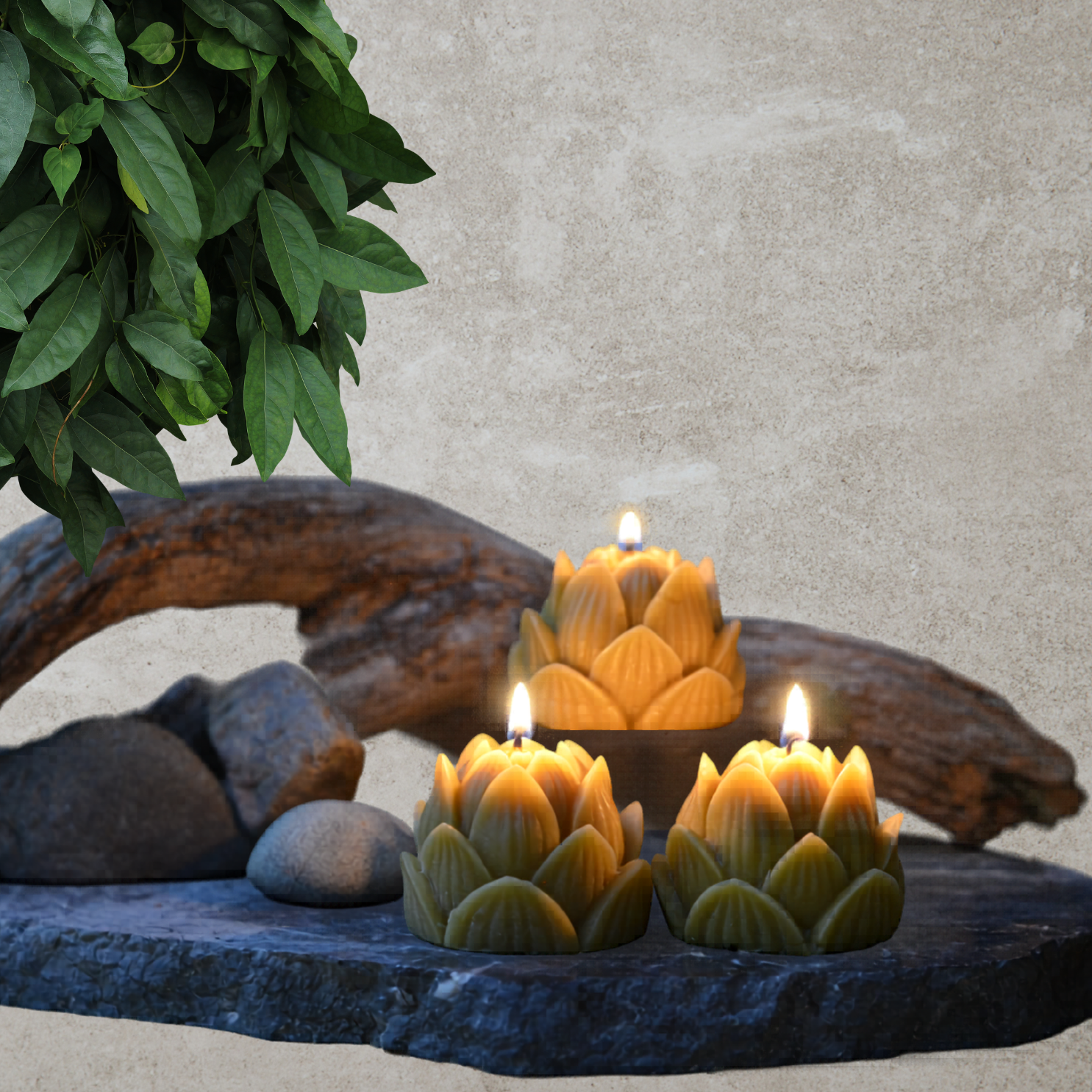 Beeswax Lotus Candle Set – Pack of 3