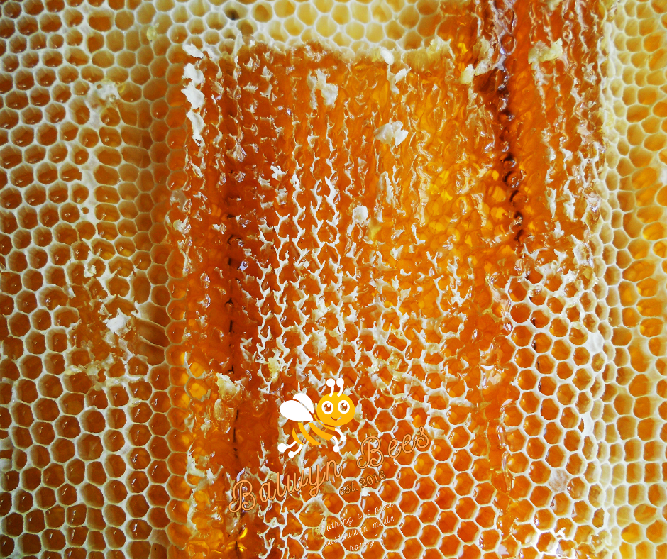 Honey Comb